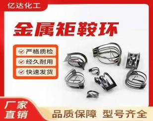 不锈钢矩鞍环填料