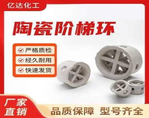 陶瓷鲍尔环填料