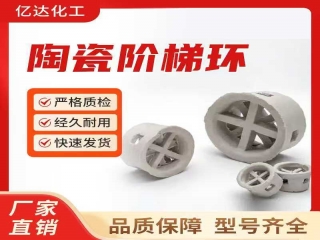 陶瓷鲍尔环填料