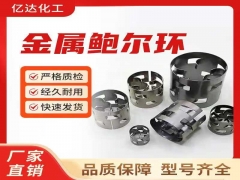 不锈钢鲍尔环填料